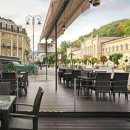 Ruze Karlovy Vary