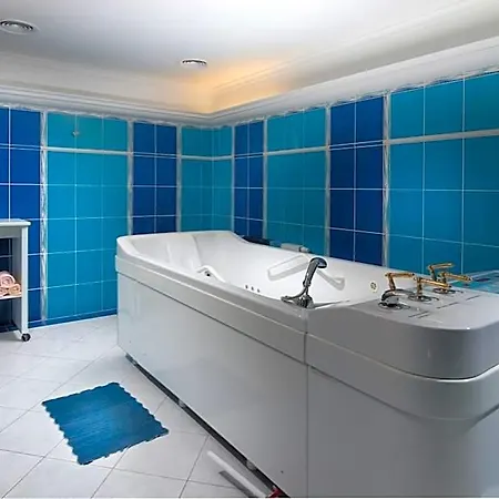 Hotel Ruze 4*