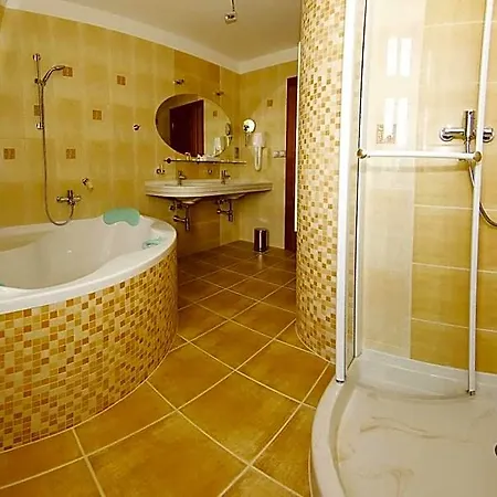 Hotel Ruze 4*