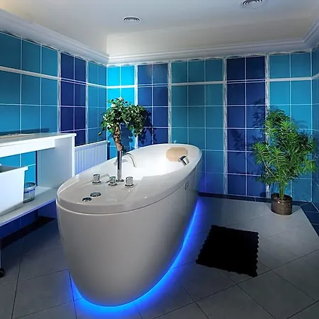 Hotel Ruze 4*