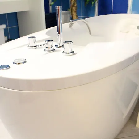 Ruze Otel Karlovy Vary