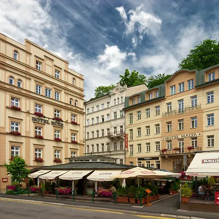 Ruze Karlovy Vary
