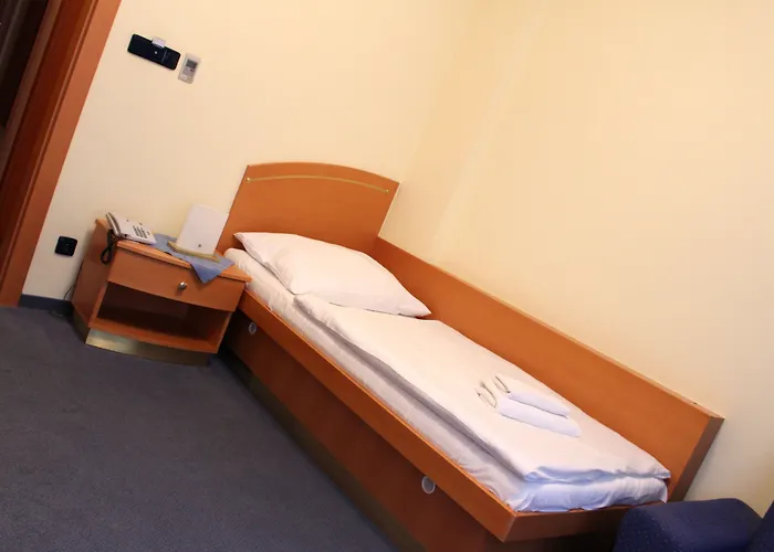 Hotel Ruze 4*